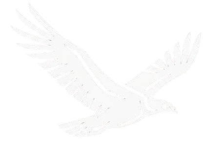 VasTech