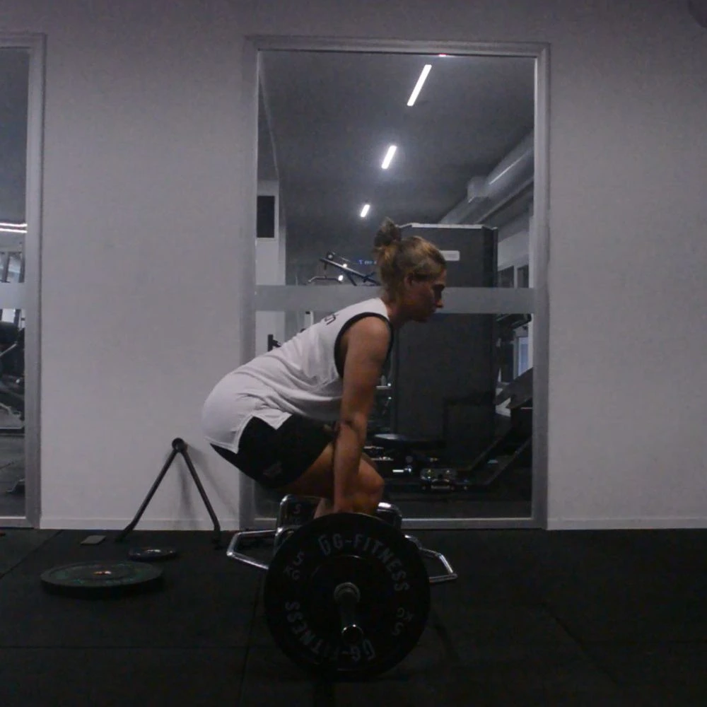 Mosquito Gym - análisis de entrenamiento 1